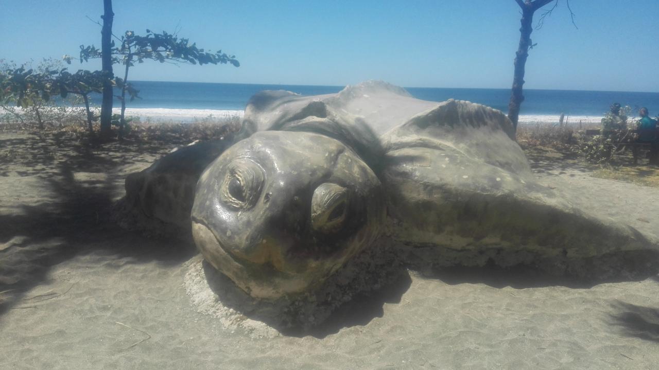 Las Cabinas De Veronique Venado Buitenkant foto